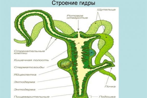 Сайт mega работает